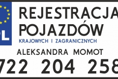 WIZYTOWKA1