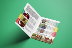 Katalog